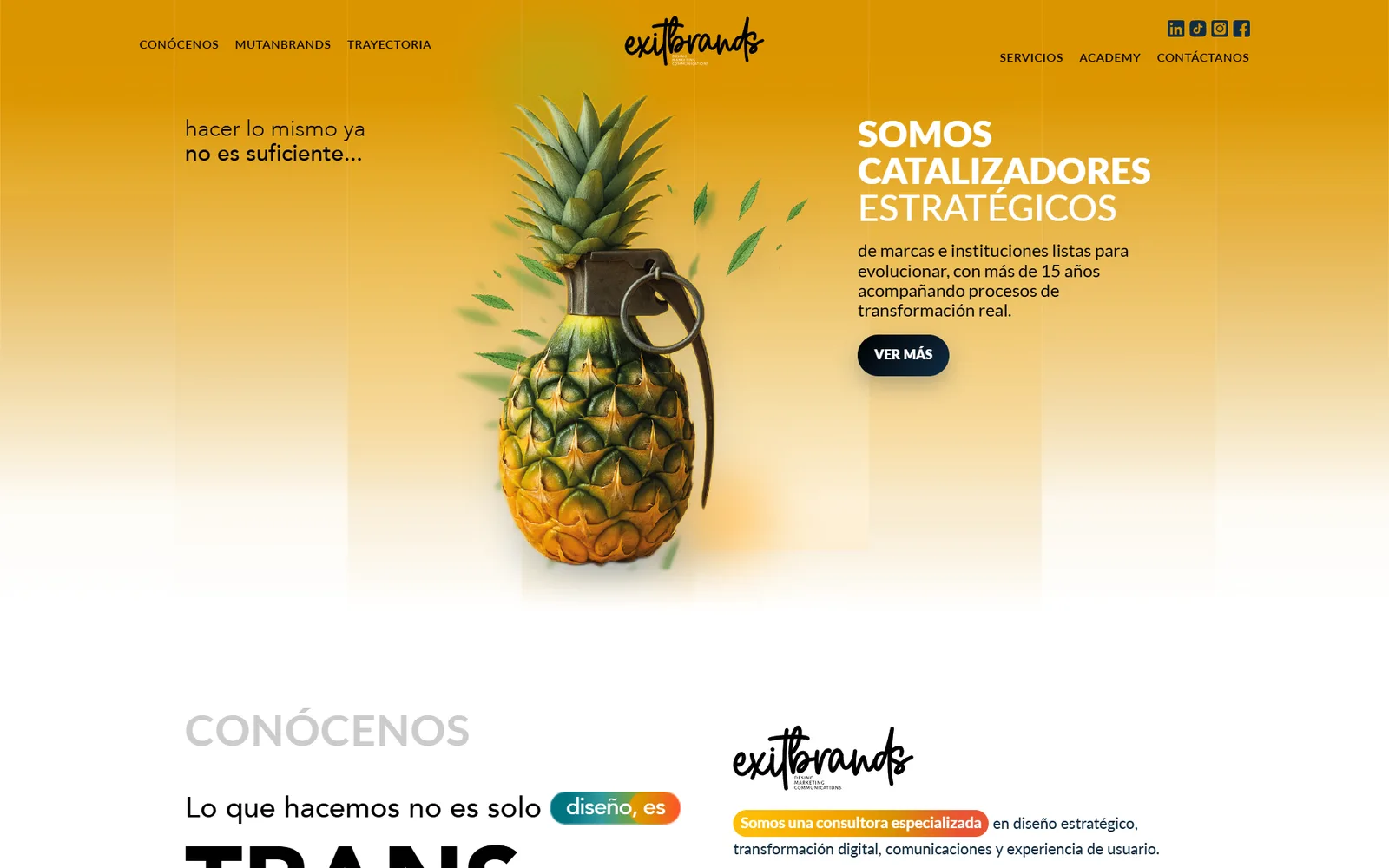 Home del sitio de Exitbrands