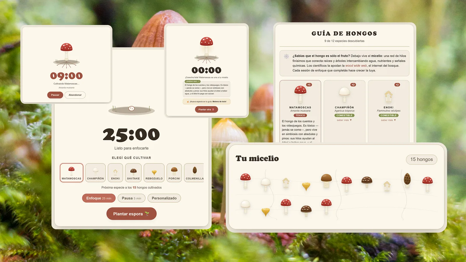 Pantallas de Micelio: temporizador, guía de hongos y micelio